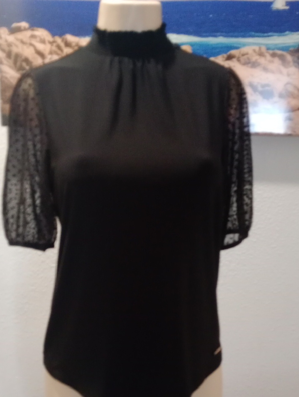 Anne Klein Black Lace-Sleeve High Neck Blouse